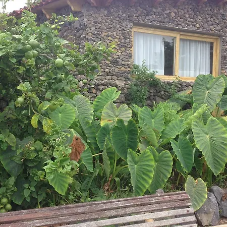 Vakantiehuis Ecolodge Tenerife Genovés