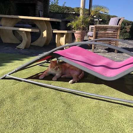 Ecolodge Tenerife Vakantiehuis