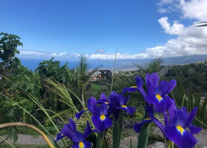 בית נופש Ecolodge Tenerife Genovés