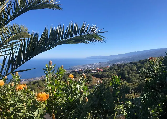 בית נופש Ecolodge Tenerife