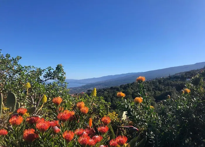 בית נופש Ecolodge Tenerife Genovés